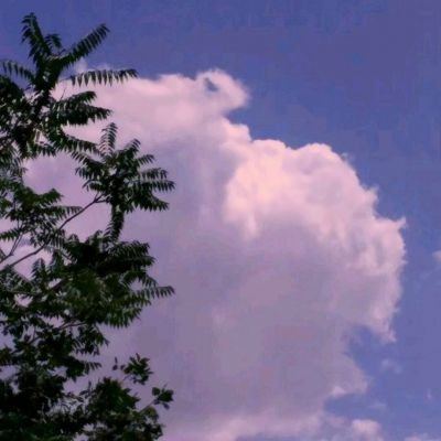 开元棋棋牌388ccvod官网版